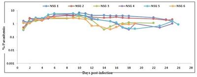 Attenuated P. falciparum Parasite Shows Cytokine Variations in Humanized Mice